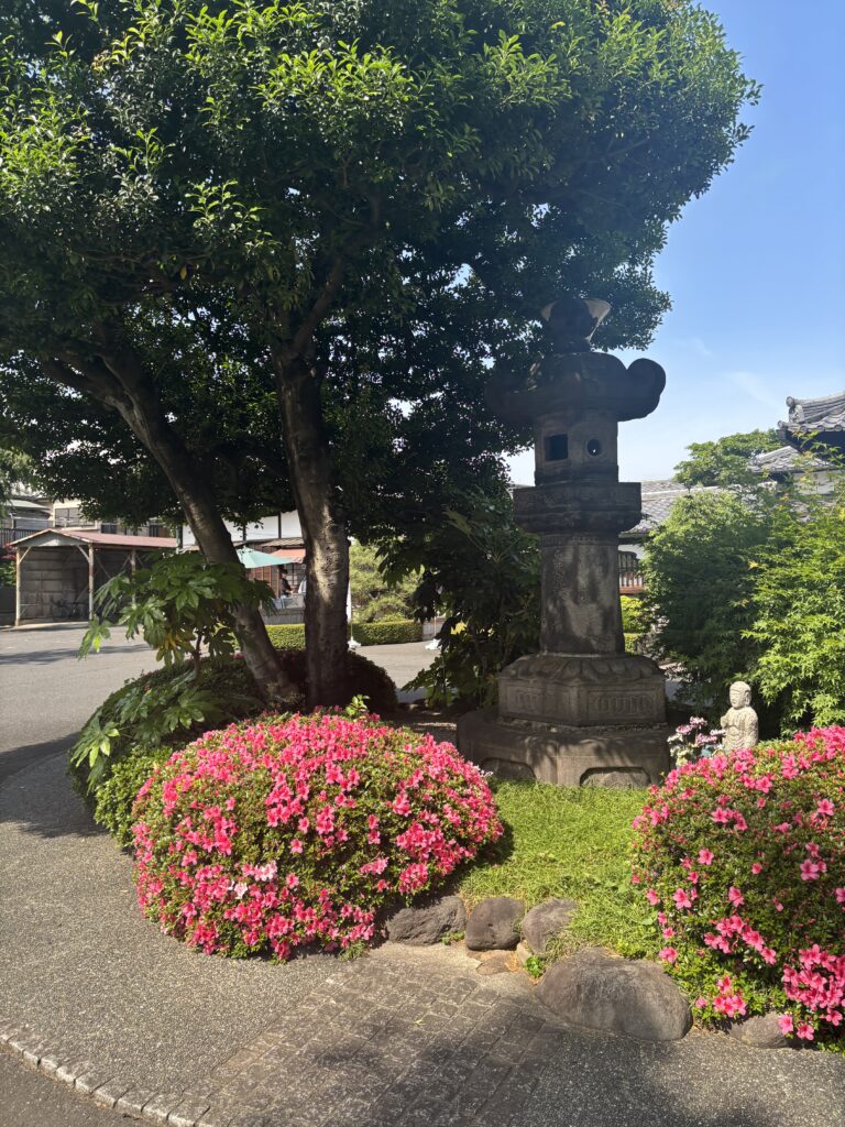 寛永寺の写真