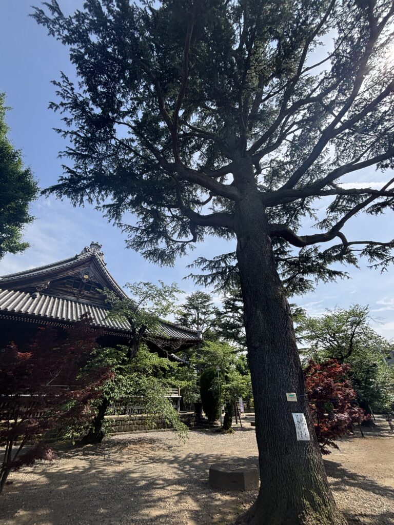 寛永寺の写真