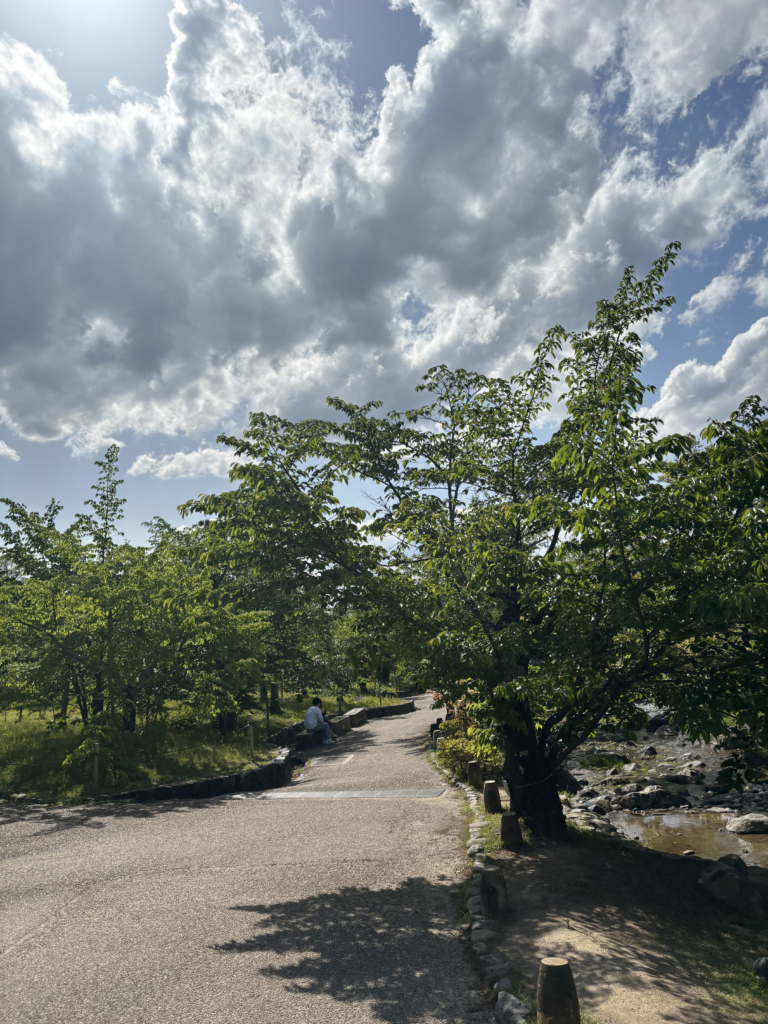 知恩院（東山）の写真