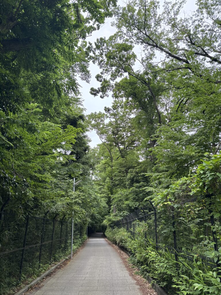 深大寺の写真