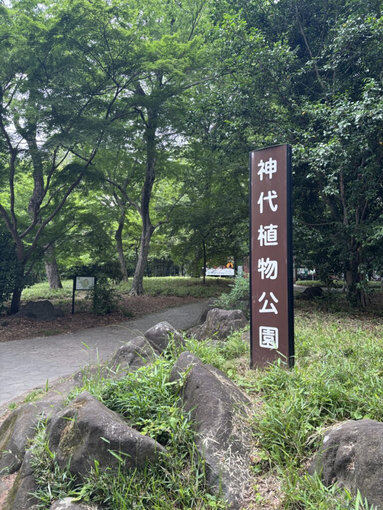 深大寺の写真