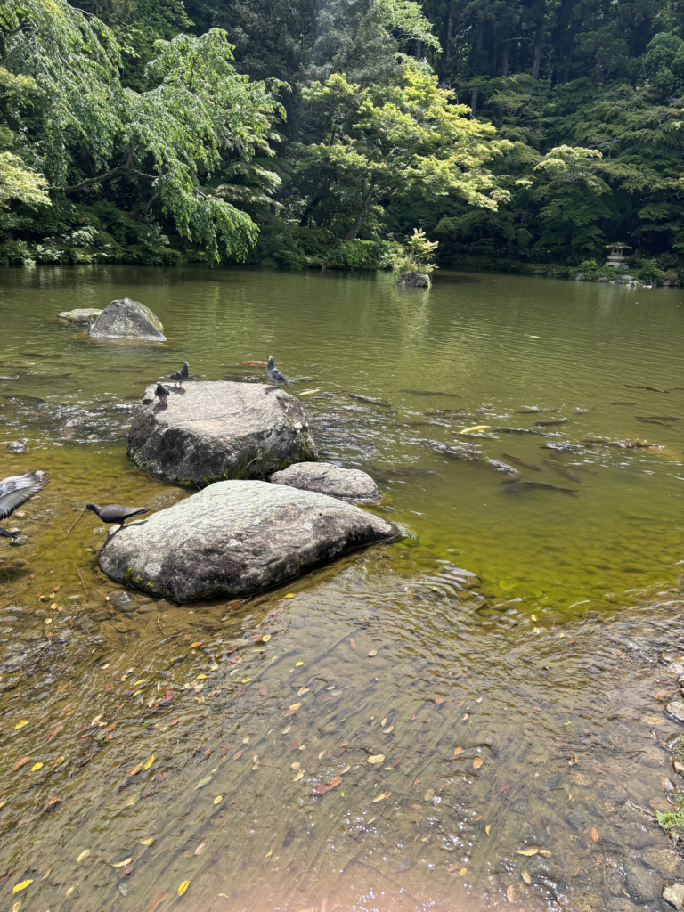 成田山新勝寺の写真