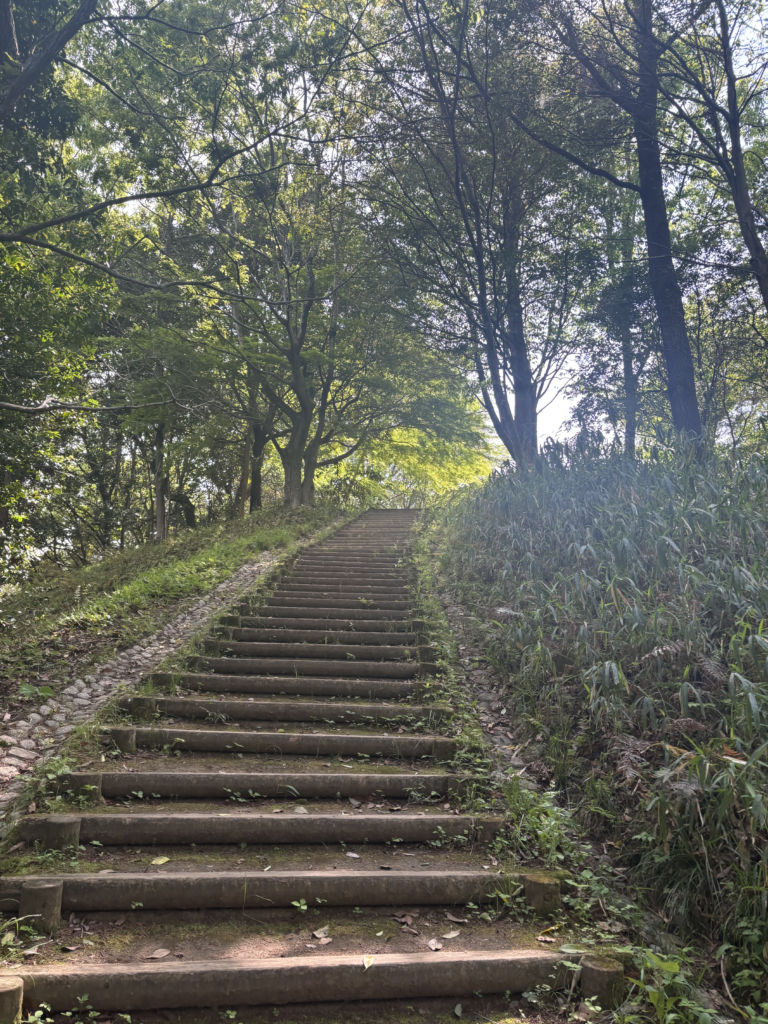 飛鳥寺の写真
