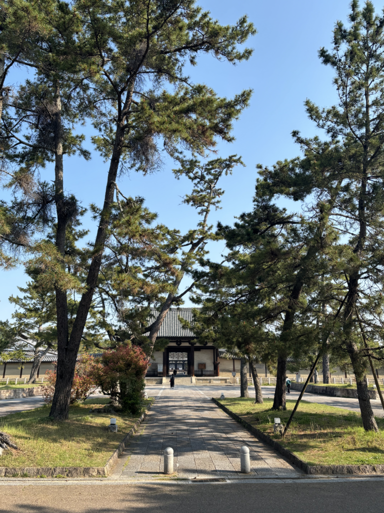 法隆寺の写真