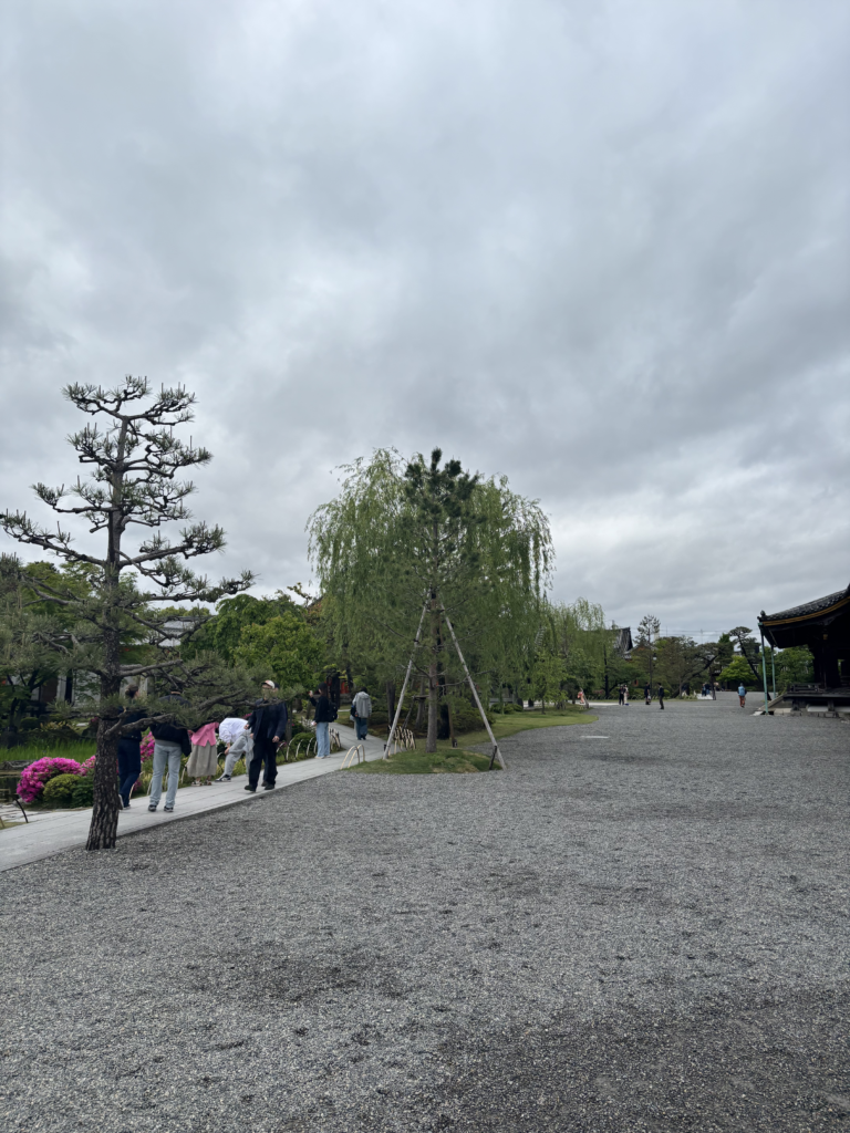 三十三間堂の庭