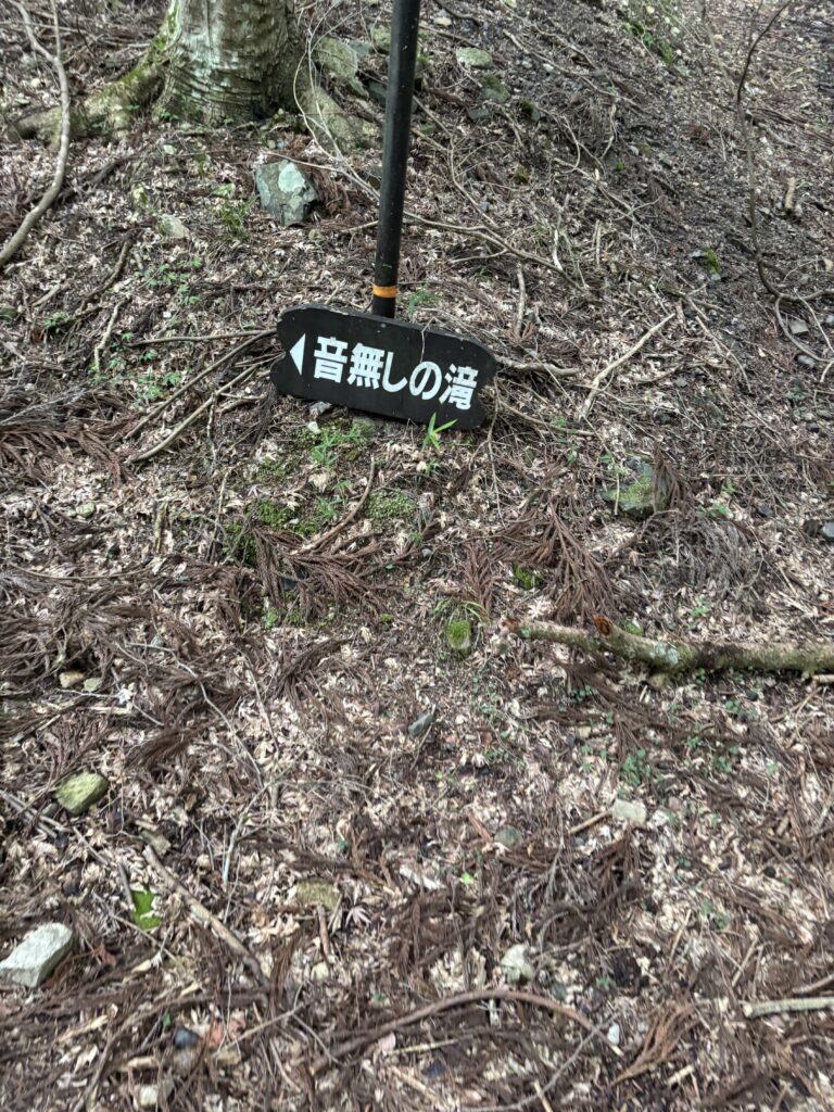来迎院（京都大原）の写真
