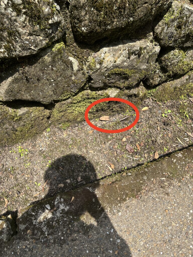 寂光院（京都大原）の写真