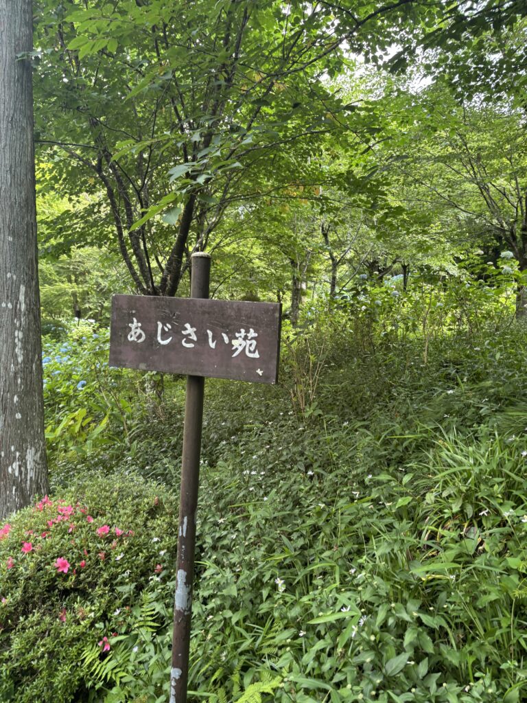 三千院（京都大原）の写真