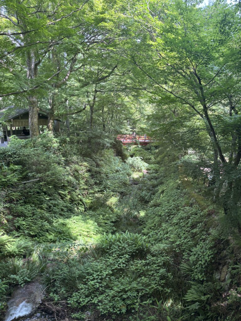 三千院（京都大原）の写真