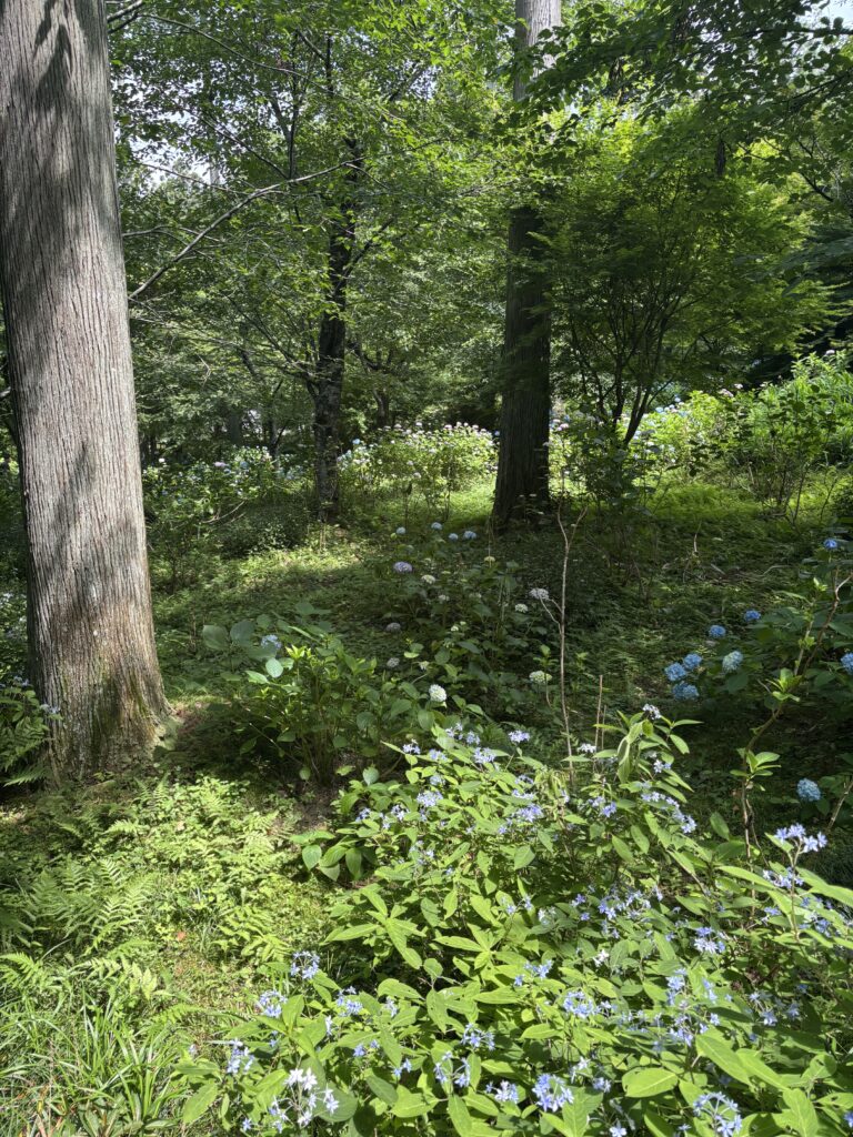 三千院（京都大原）の写真