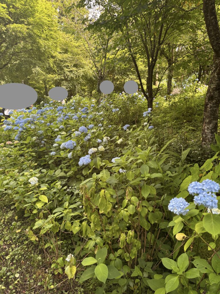 三千院（京都大原）の写真
