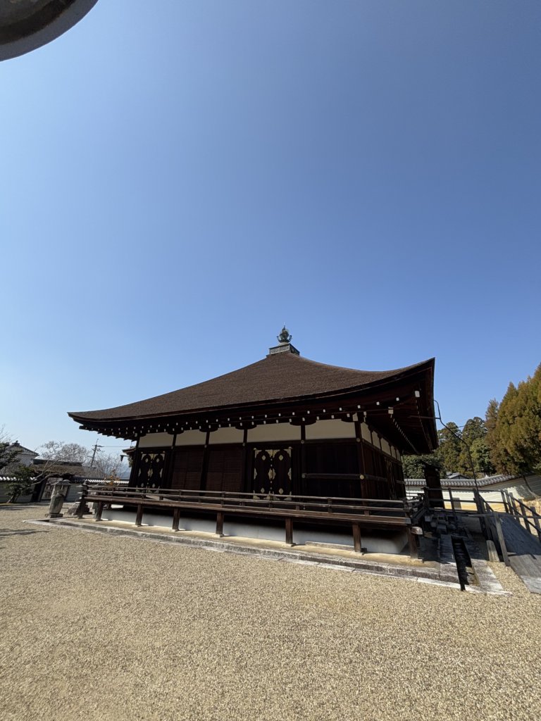 仁和寺（京都）の写真