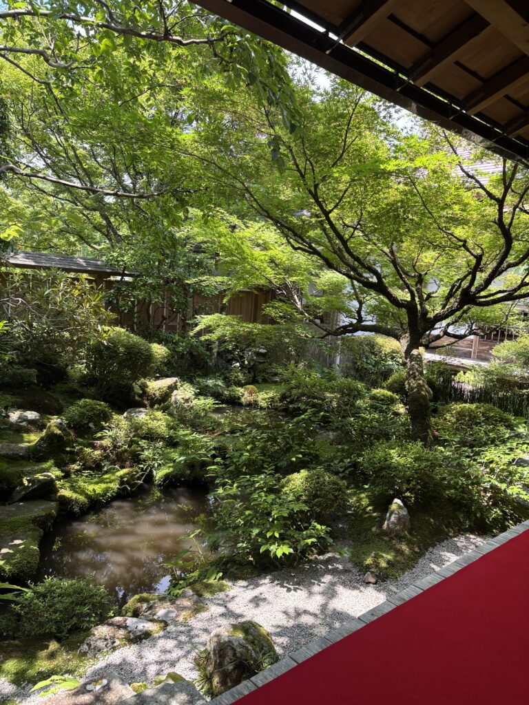 宝泉院（京都大原）の写真