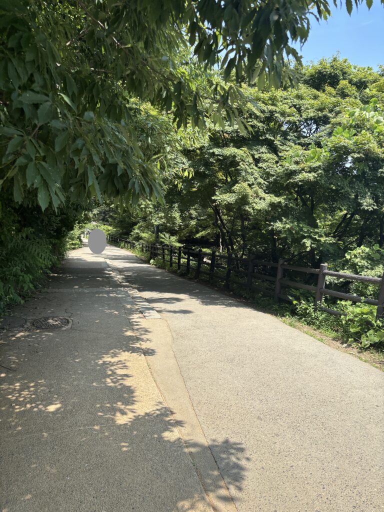 高尾山薬王院の写真