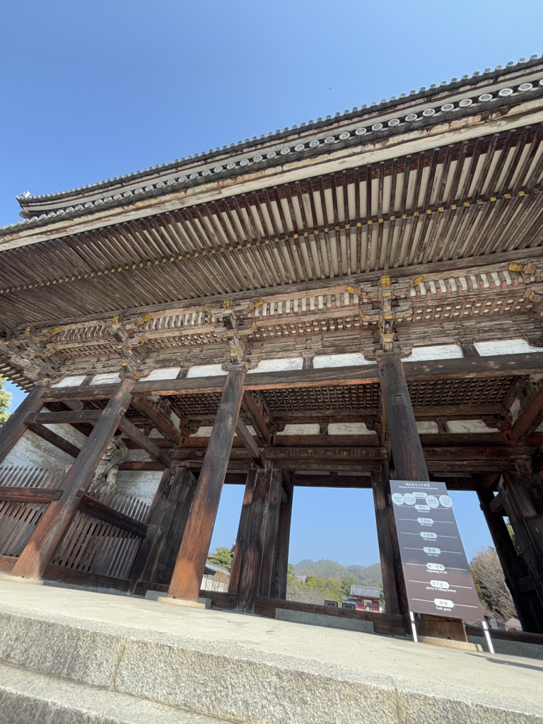 仁和寺（京都）の写真