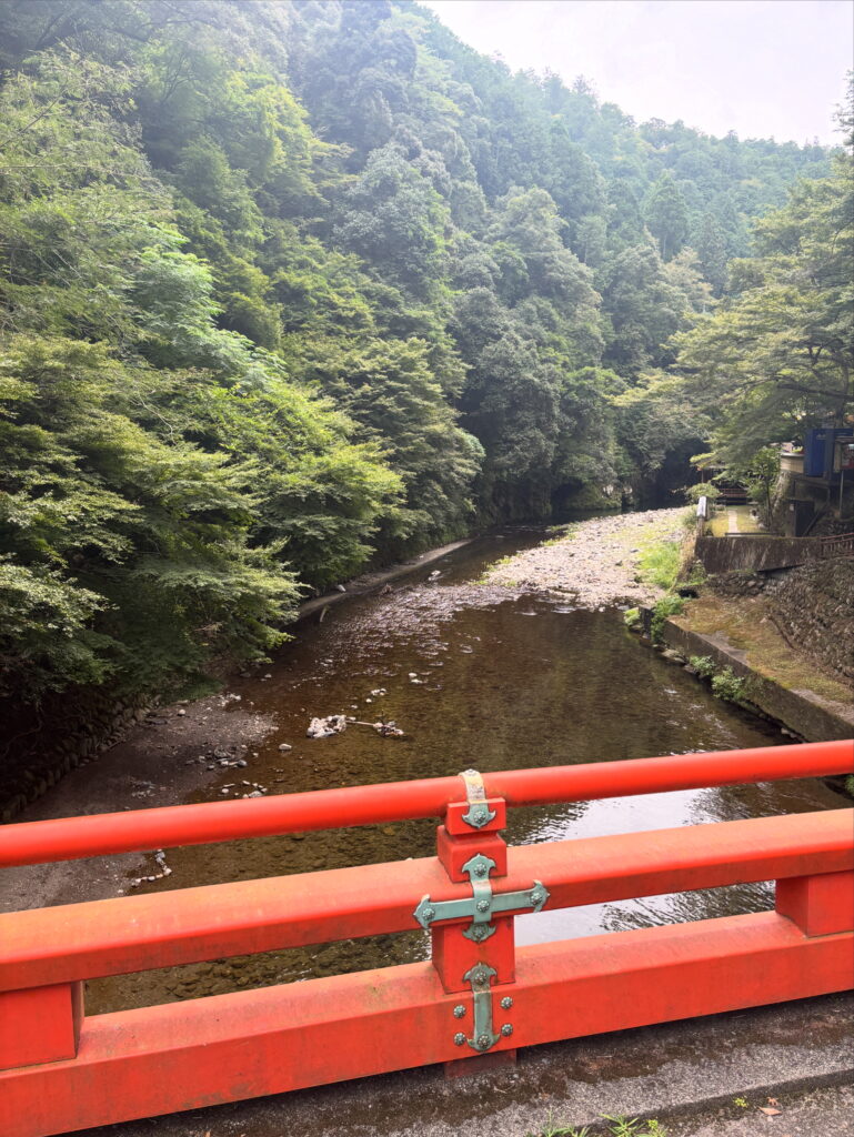 神護寺（京都）の写真