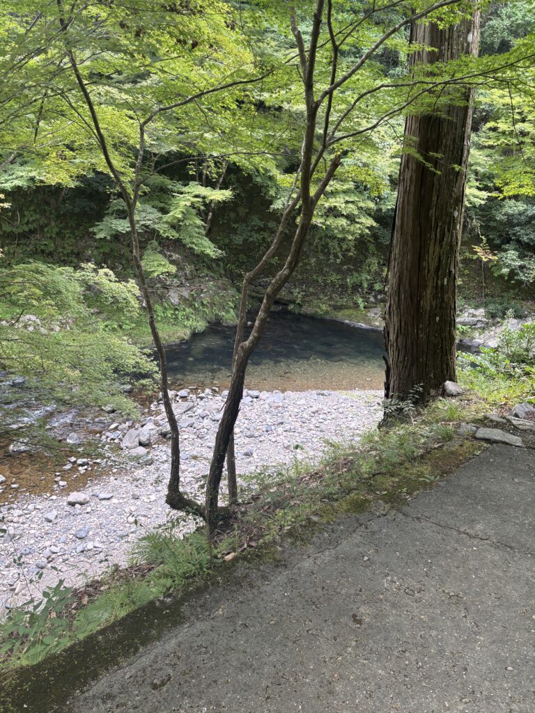 西明寺（京都）の写真