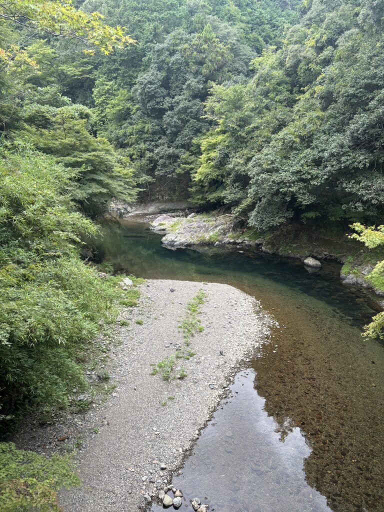 西明寺（京都）の写真