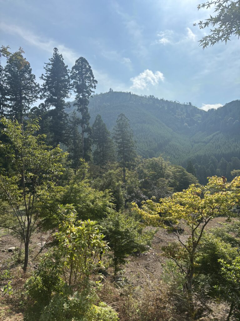 高山寺（京都）の写真