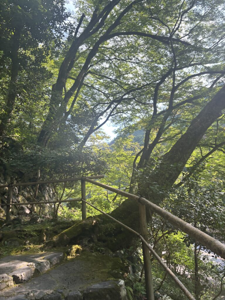 高山寺（京都）の写真