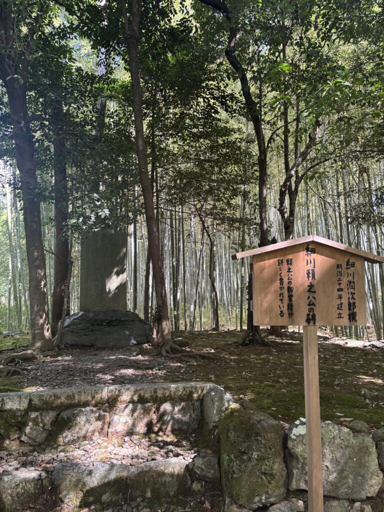 竹寺（京都）の写真