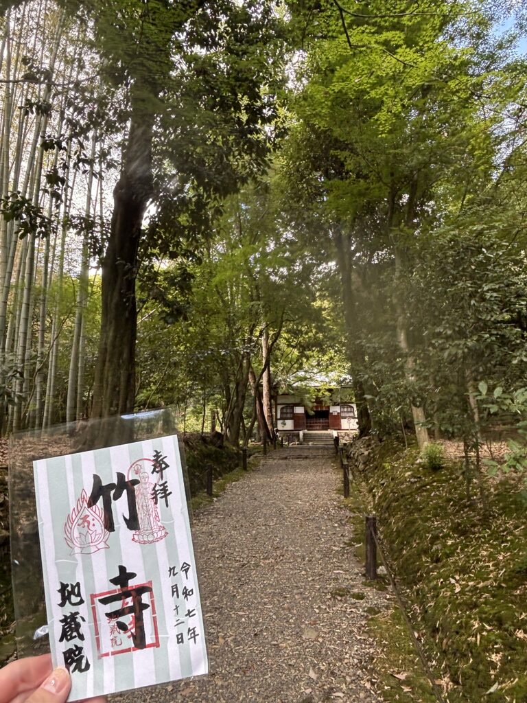 竹寺（京都）の写真