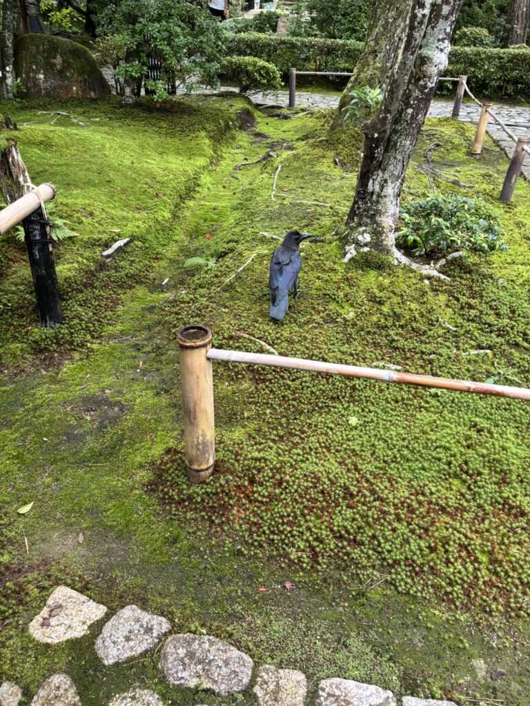 法然院（京都）の写真