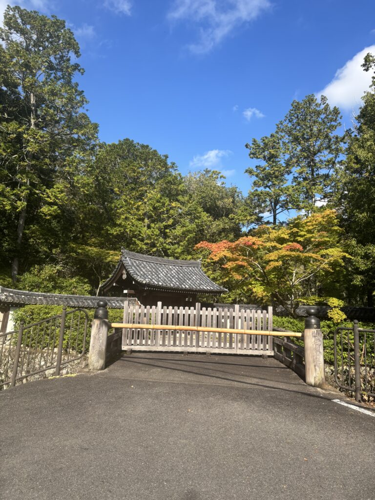 苔寺（京都）の写真