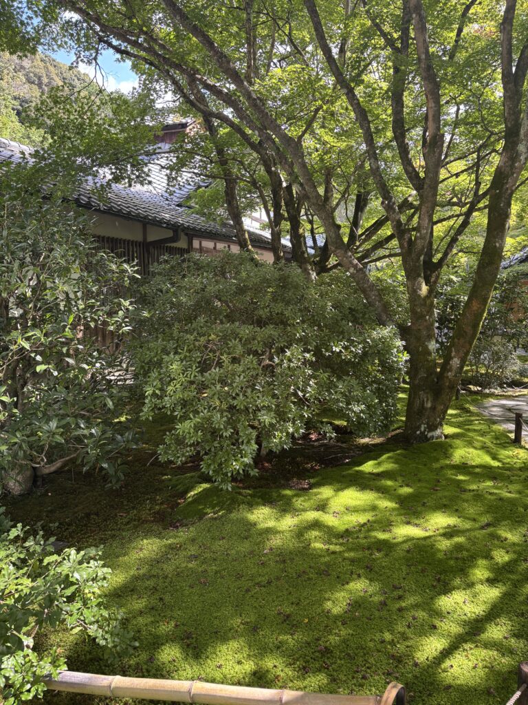 苔寺（京都）の写真