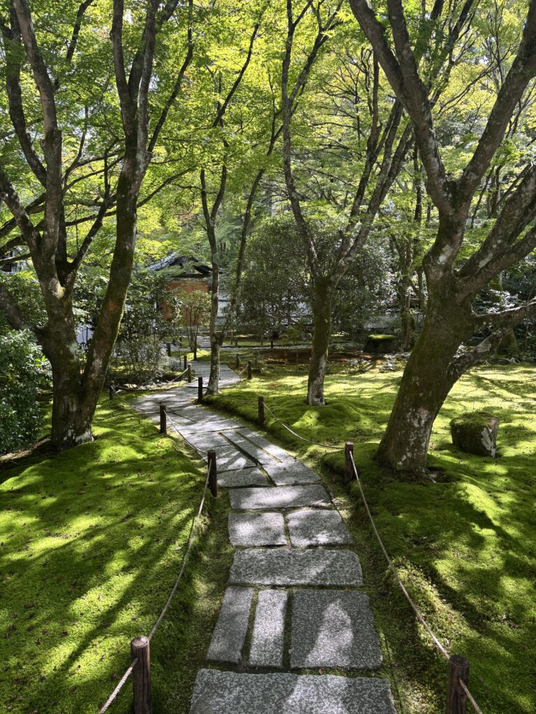 苔寺（京都）の写真