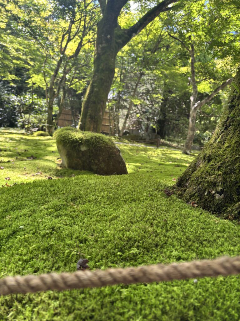 苔寺（京都）の写真