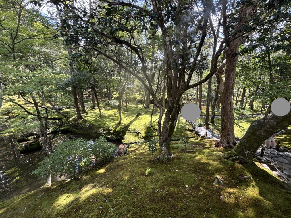 苔寺（京都）の写真