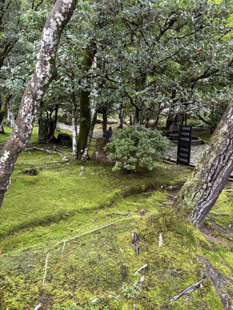 法然院（京都）の写真