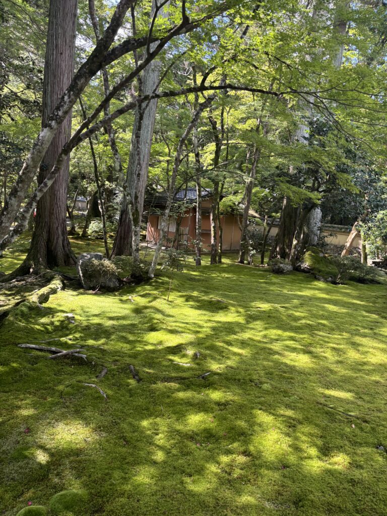 苔寺（京都）の写真