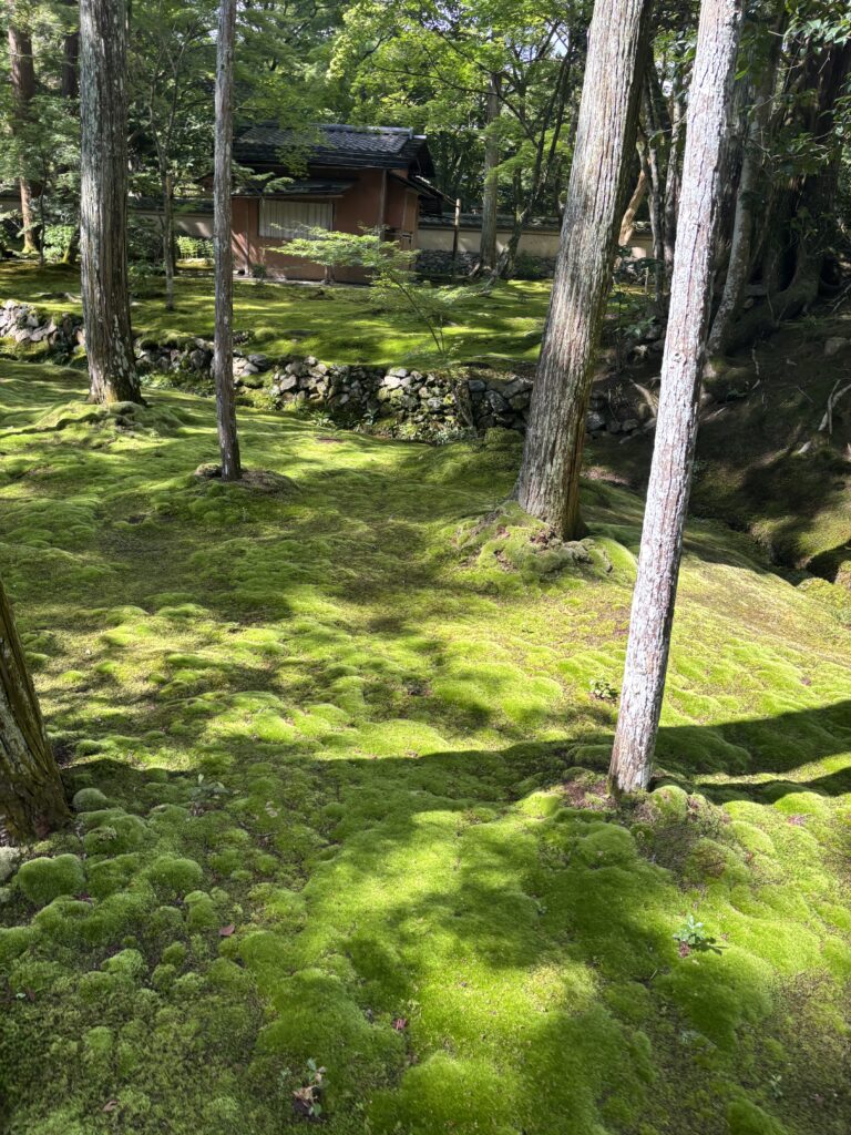 苔寺（京都）の写真