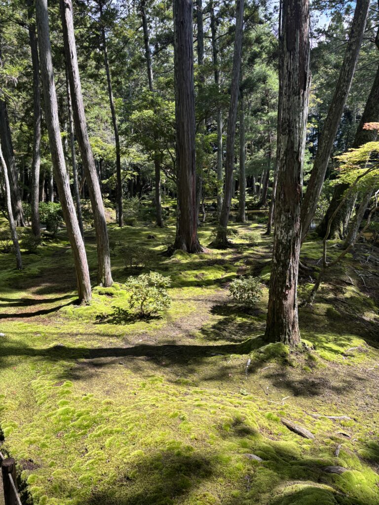 苔寺（京都）の写真
