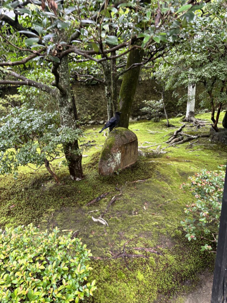 法然院（京都）の写真