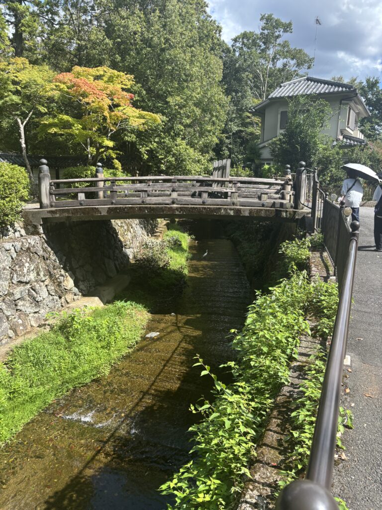 苔寺（京都）の写真