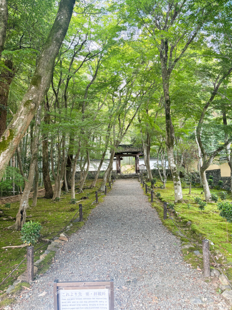 竹寺（京都）の写真