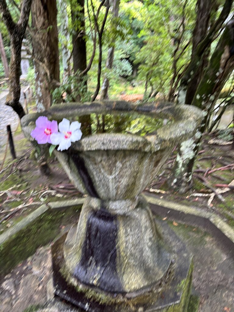 法然院（京都）の写真