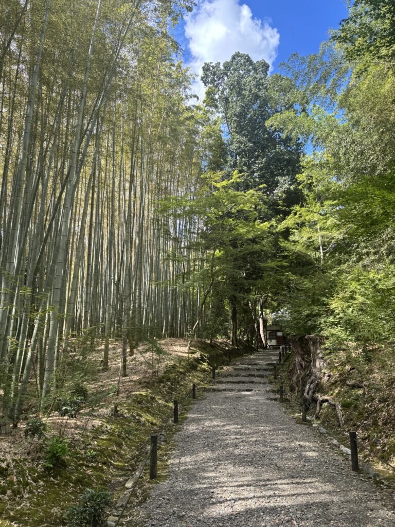 竹寺（京都）の写真