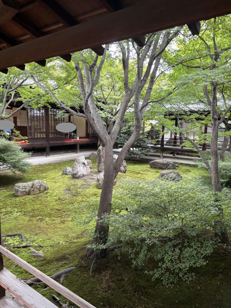 建仁寺(京都)の写真