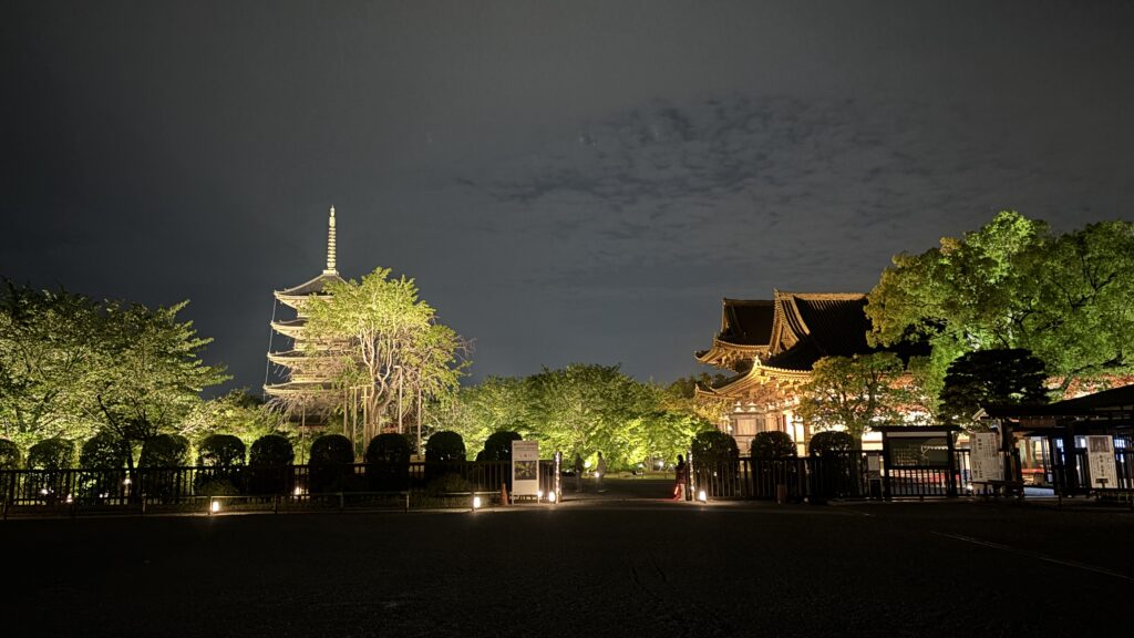 東寺の写真