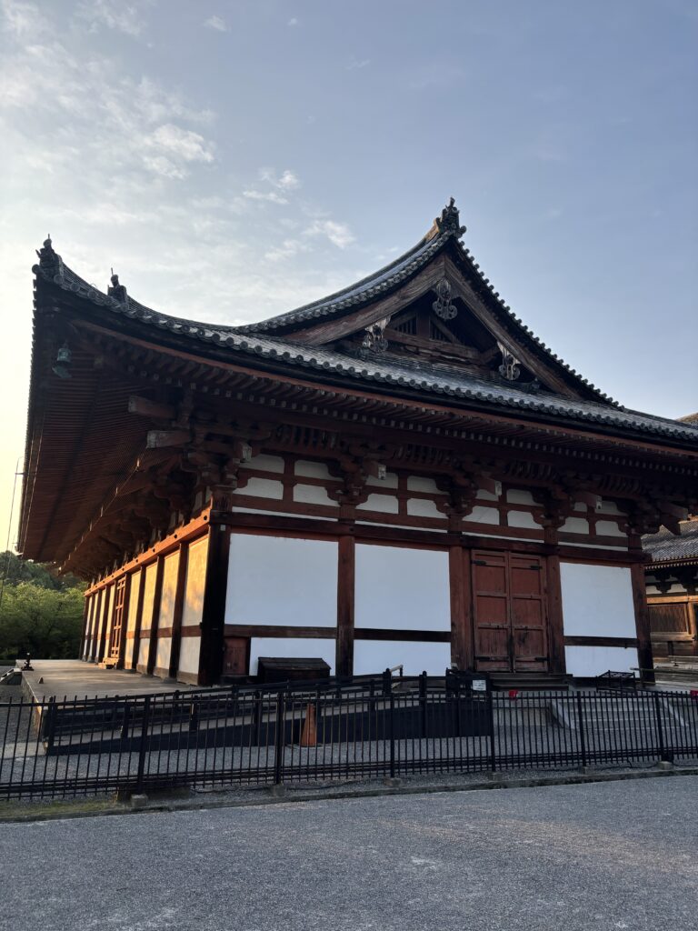 東寺の写真