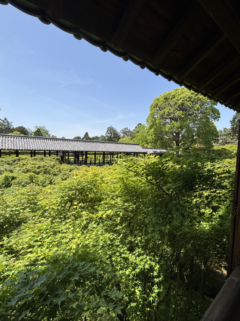 東福寺(京都)の写真