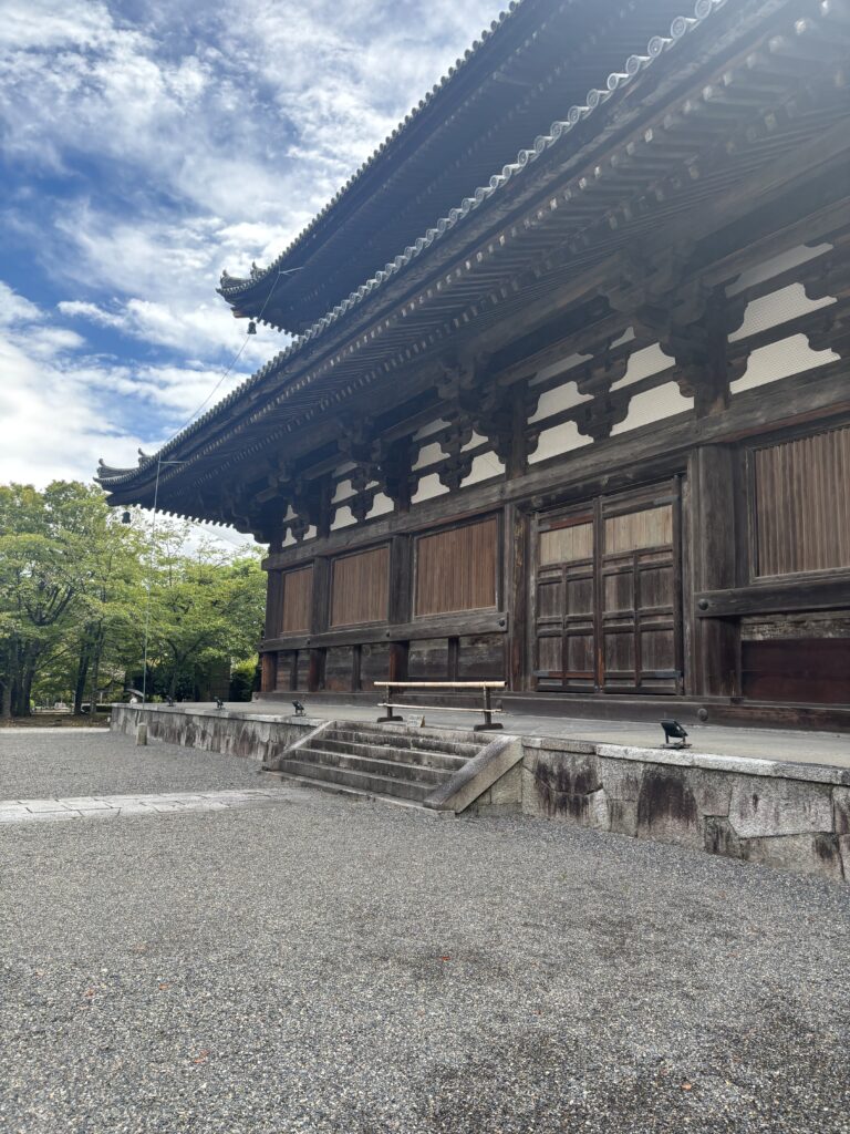 東寺の写真