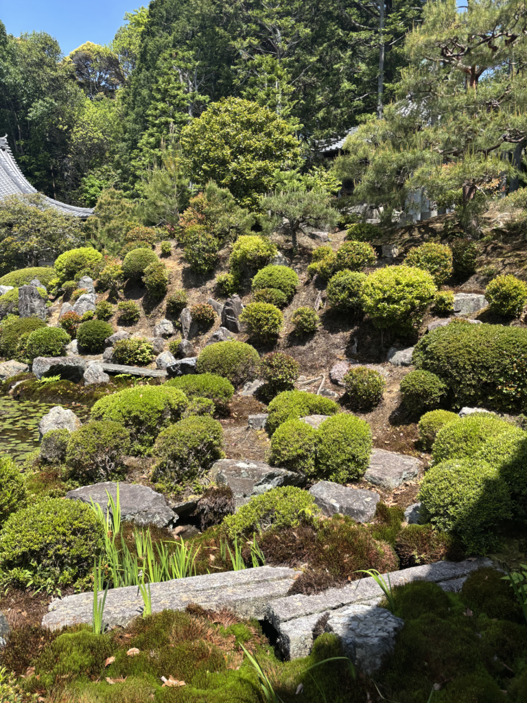 東福寺(京都)の写真