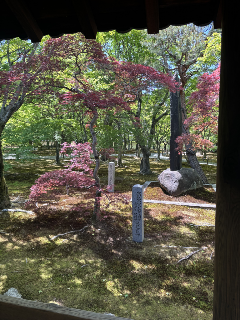 東福寺(京都)の写真