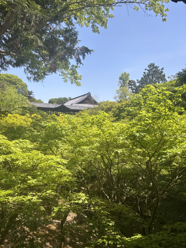 東福寺(京都)の写真
