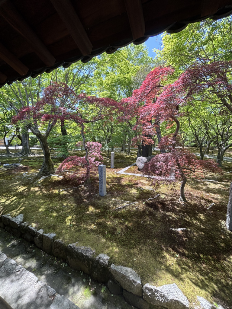 東福寺(京都)の写真
